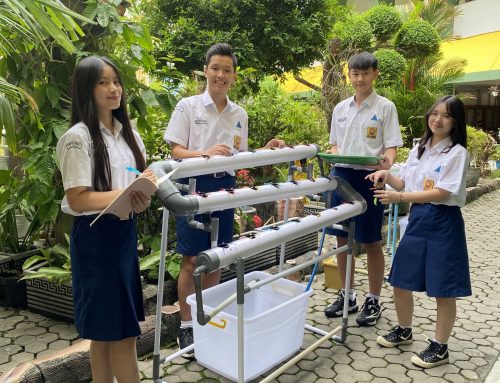 Hidroponik Wujud Nyata Sekolah Adiwiyata